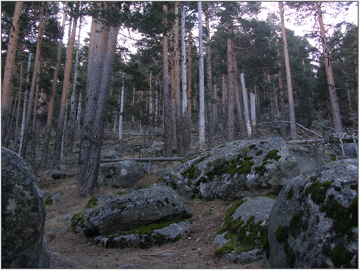 Umbría de Siete Picos