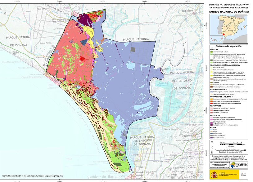 Sistemas naturales de vegetación Parque Nacional de Doñana
