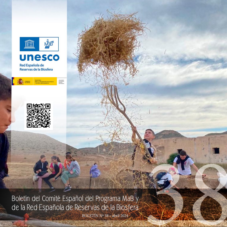 portada boletín número 38