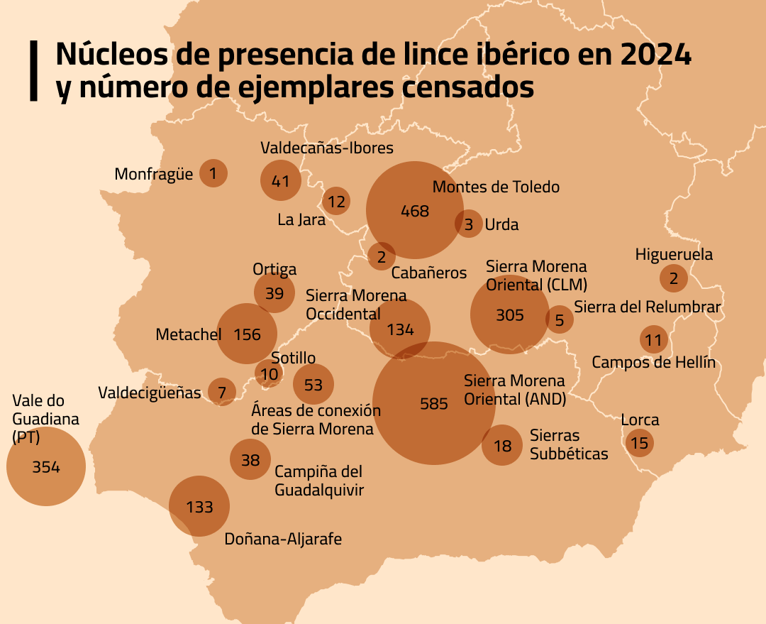 nota linces