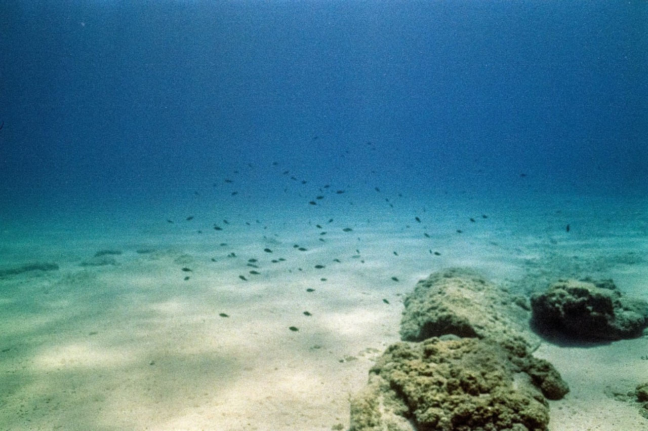 20250611_.jpg