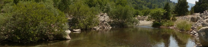 Río Noguera Ribagorzana