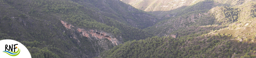 Reserva Natural Fluvial Chíllar