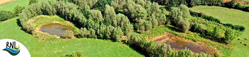 Basses de Can Jordà