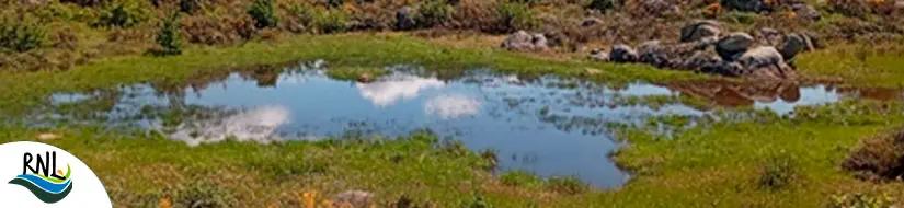 Estanys de les Alberes – Estanys de la Gotina