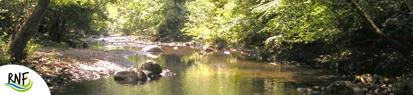 Reserva Natural Fluvial Rieras de Beget y Sant Aniol 