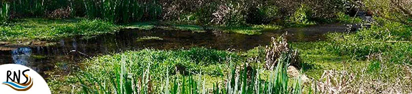 Sistema acuífero fluvio-volcánico de la Garrotxa