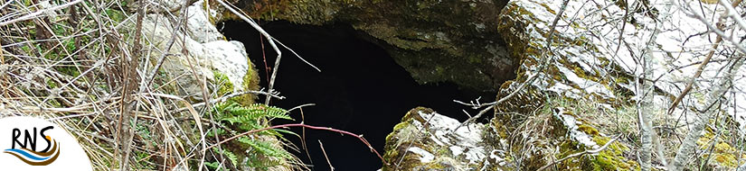 Reserva Natural Fluvial Fuente Deshondonada (Sondonada)