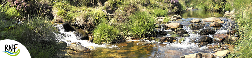 Reserva natural fluvial del Río Masma. Zona: Masma II
