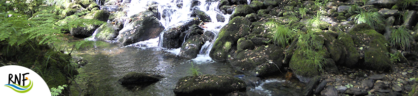 Reserva natural fluvial del Río Mera. Zona: Rego dos Soutochao