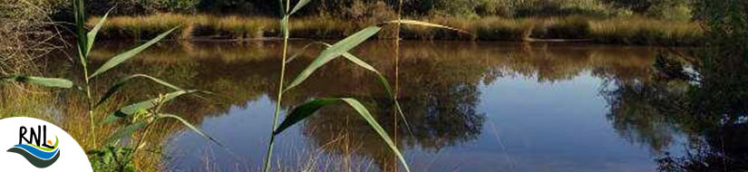 Complejo Lagunar Turberas de Ribatehilos