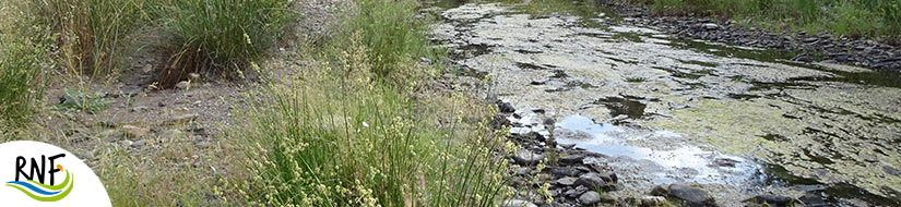 Reserva Natural Fluvial del río Cuzna 