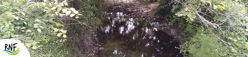 Reserva Natural Fluvial Torrent de Binimel·là