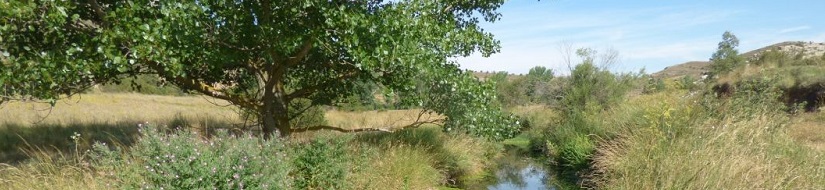 Reserva natural fluvial del río Mijares