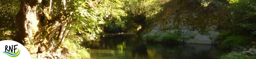 Reserva Natural Fluvial Río Burbia I