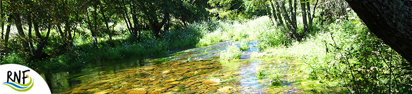 Reserva Natural Fluvial del Río Xares