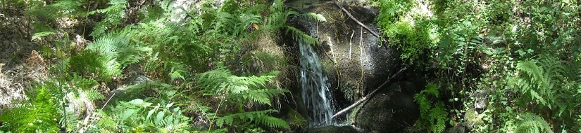 Reserva natural fluvial del río Muelas