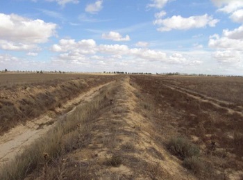 Plan PIMA Adapta Canal La Lobera