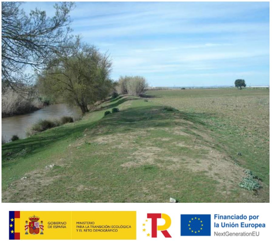 Rehabilitación ambiental río Limonetes Talavera la Real