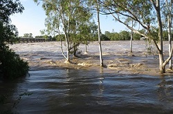 I+D+i en inundaciones