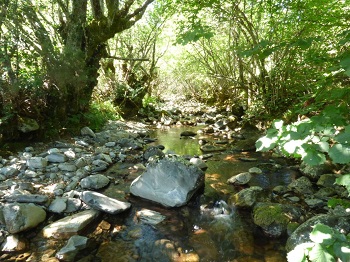 Catálogo de la gobernanza del agua en España 