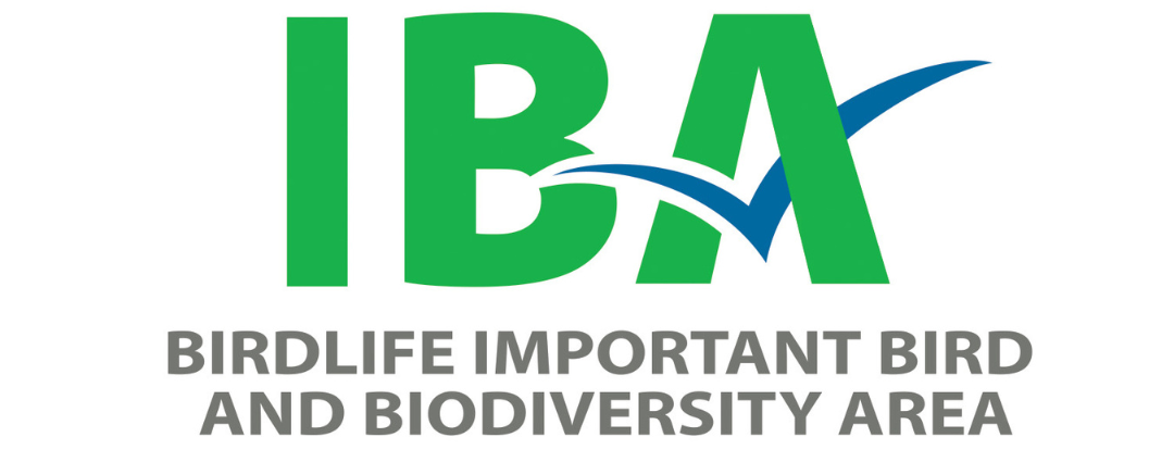 Logo IBAs