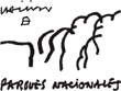 Logo Parques Nacionales