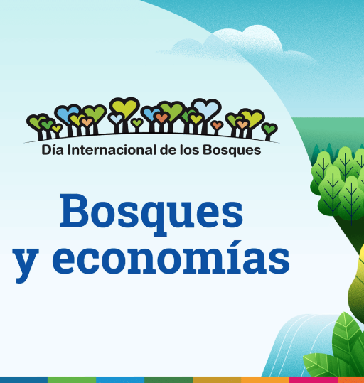 Día Internacional de los Bosques 2026