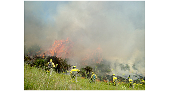 BRIF Tineo (Asturias) en incendio Cándamo (Asturias)
