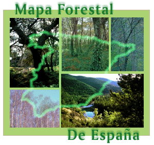 Composición gráfica con paisajes forestales y el contorno de la Península Ibérica