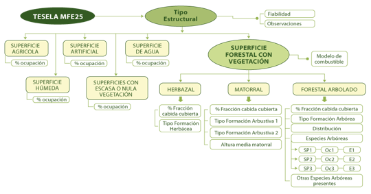 Metodología MFE25