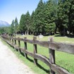 patrimonio_forestal