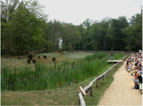 Actividades de educación pública en un parque zoológico europeo © Federico Guillén-Salazar