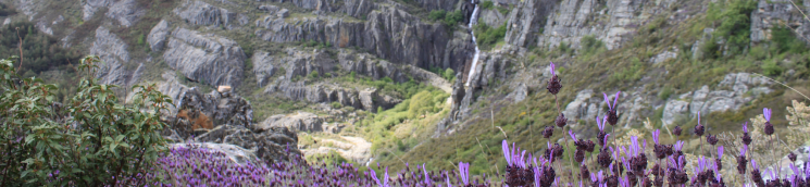 Chorrera de Despeñalagua (Valverde de los Arroyos)