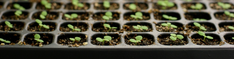 Gráficas, datos, cálculos