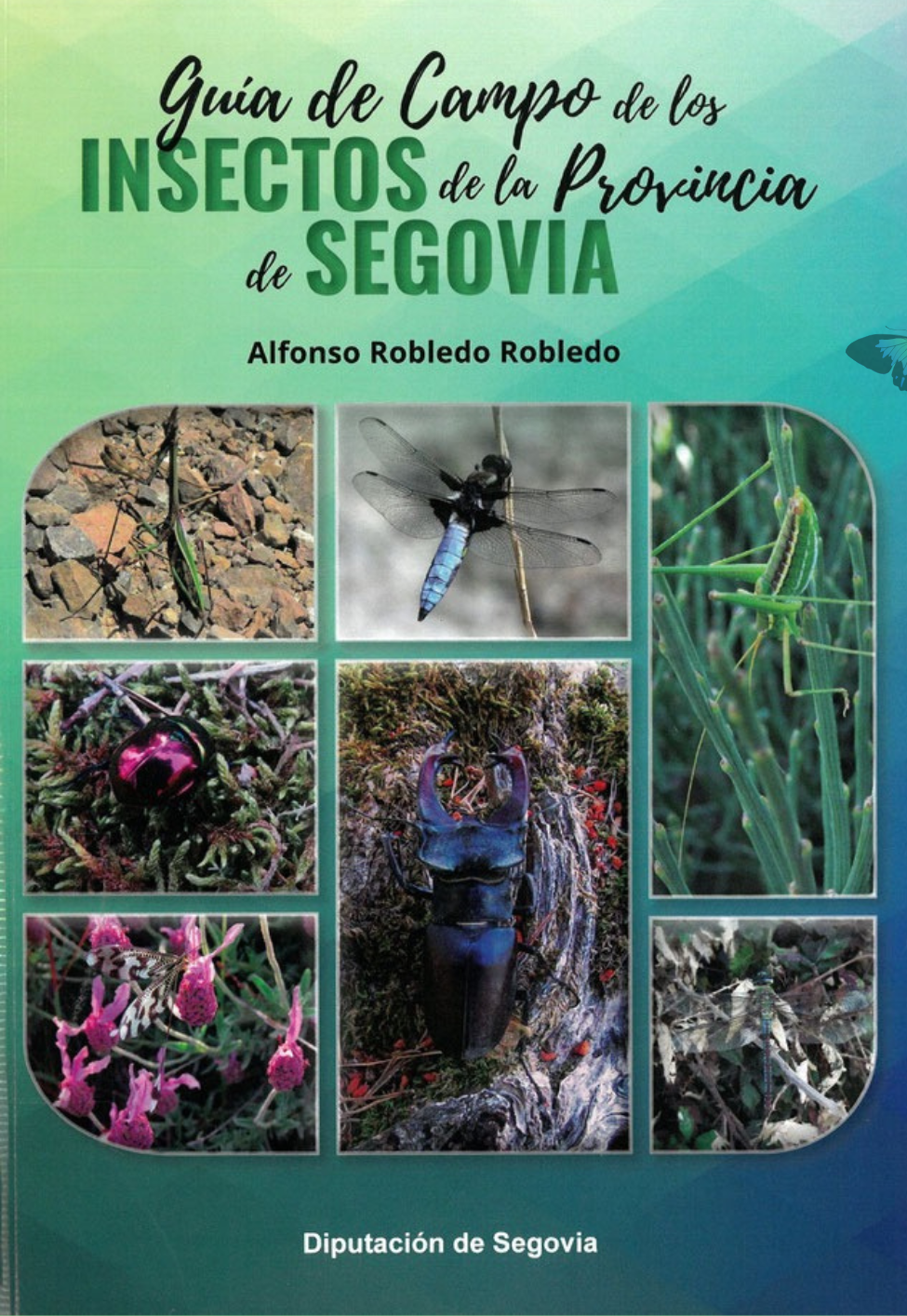 Guía de Campo de los insectos de la Provincia de Segovia