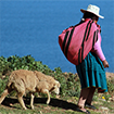 Mujeres. Boletín ECODES