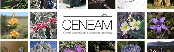 Otras actividades del CENEAM