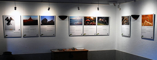 Vista general de la exposición Espacios naturales guardianes de la biodiversidad