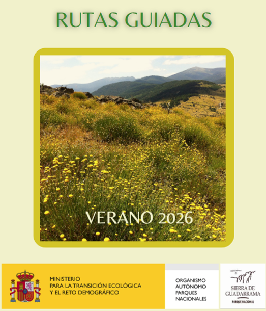 Rutas guiadas - verano 2026