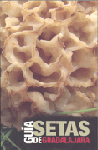 Imagen textura de una sección de una seta