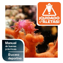 Manual de buenas prácticas del buceo deportivo