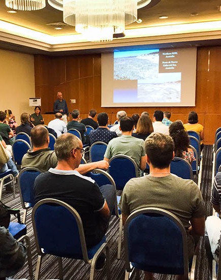 PLANES / ESTRATEGIAS DE SALUD Y MEDIO AMBIENTE