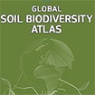 Global Soil Biodiversity Atlas