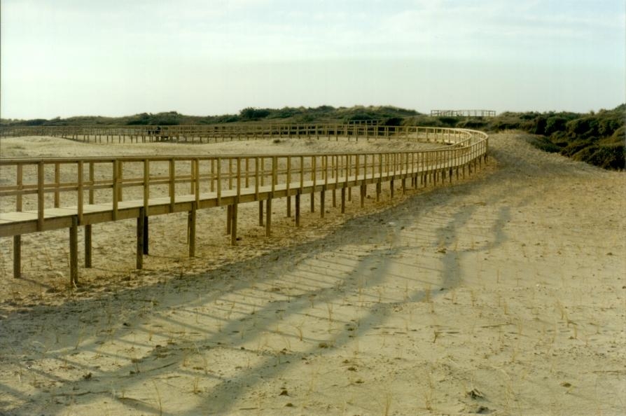 Recuperación ambiental de las dunas de El Espartal