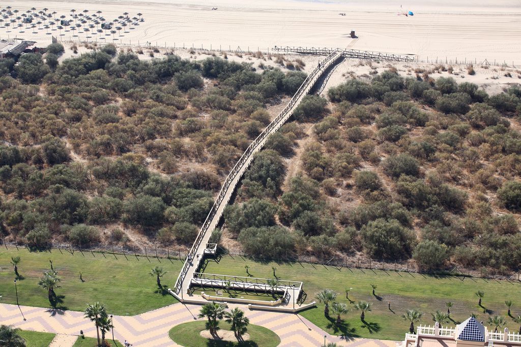 Restauración sistema dunar y accesos a la playa de Isla Canela (Terminado)