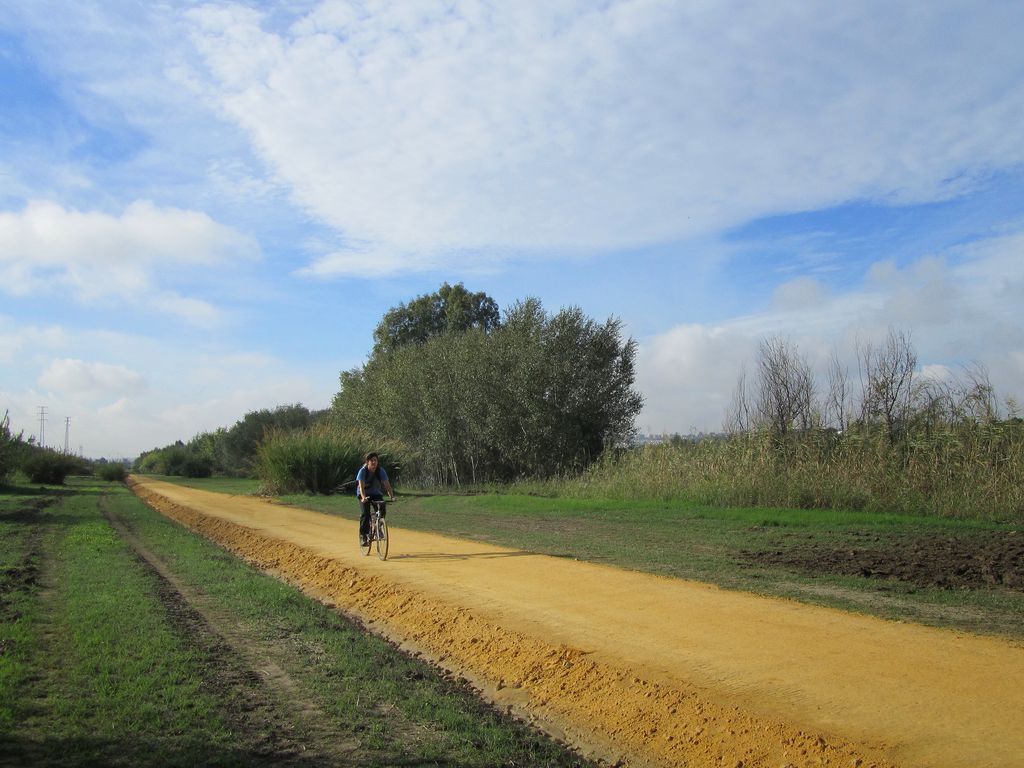 Sendero en la Corta de la Cartuja. Margen izquierda del Guadalquivir