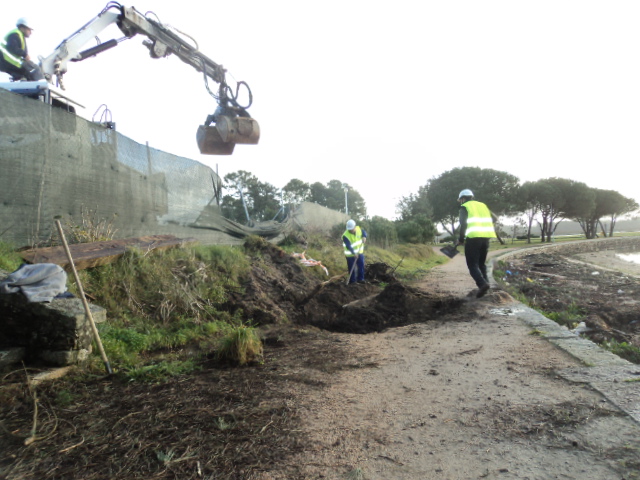 A Toxa. Rotura de un tramo de senda por arrancamiento de un árbol de grandes dimensiones