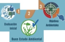 Fases 1,2 y 3 - Evaluación inicial, Buen Estado Ambiental y Objetivos Ambientales