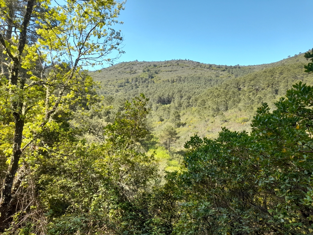 Vista General del Alisar II